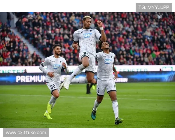 霍芬海姆1899足球俱乐部的崛起与挑战探索球队发展历程与未来展望